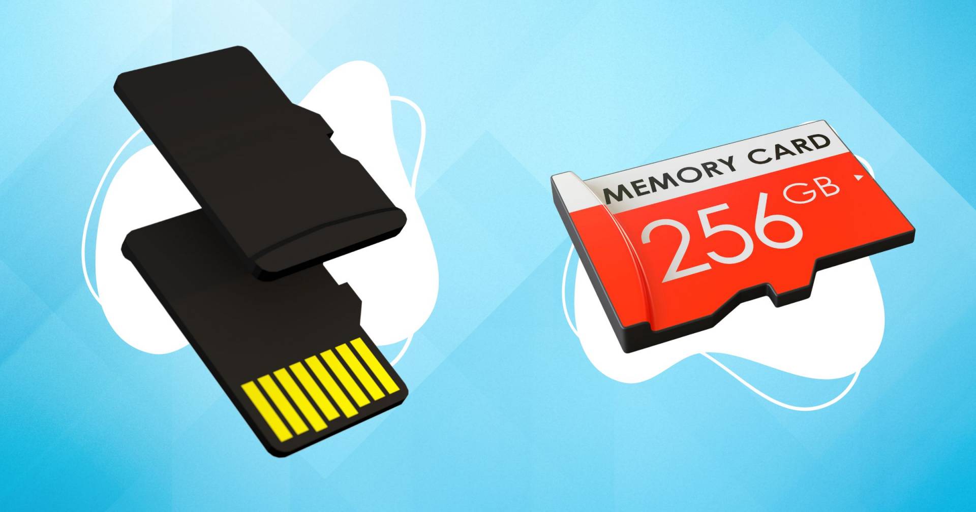 The 7 Best 256gb Sd Card Of 2025, Tested By Our Experts