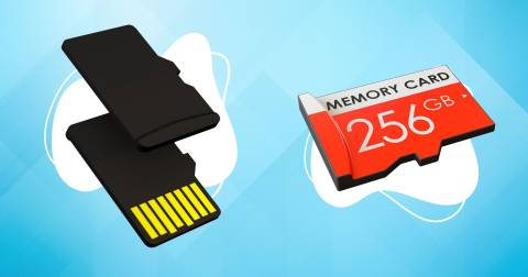 The 10 Best 256gb Sd Card Of 2023, Tested By Our Experts