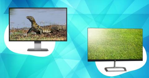 The 10 Good Ips Monitor Of 2024, Tested By Our Experts