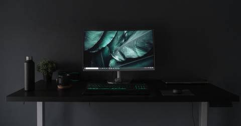The Best Monitor For Home Use In 2024