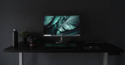 The Best Monitor For Home Use In 2025